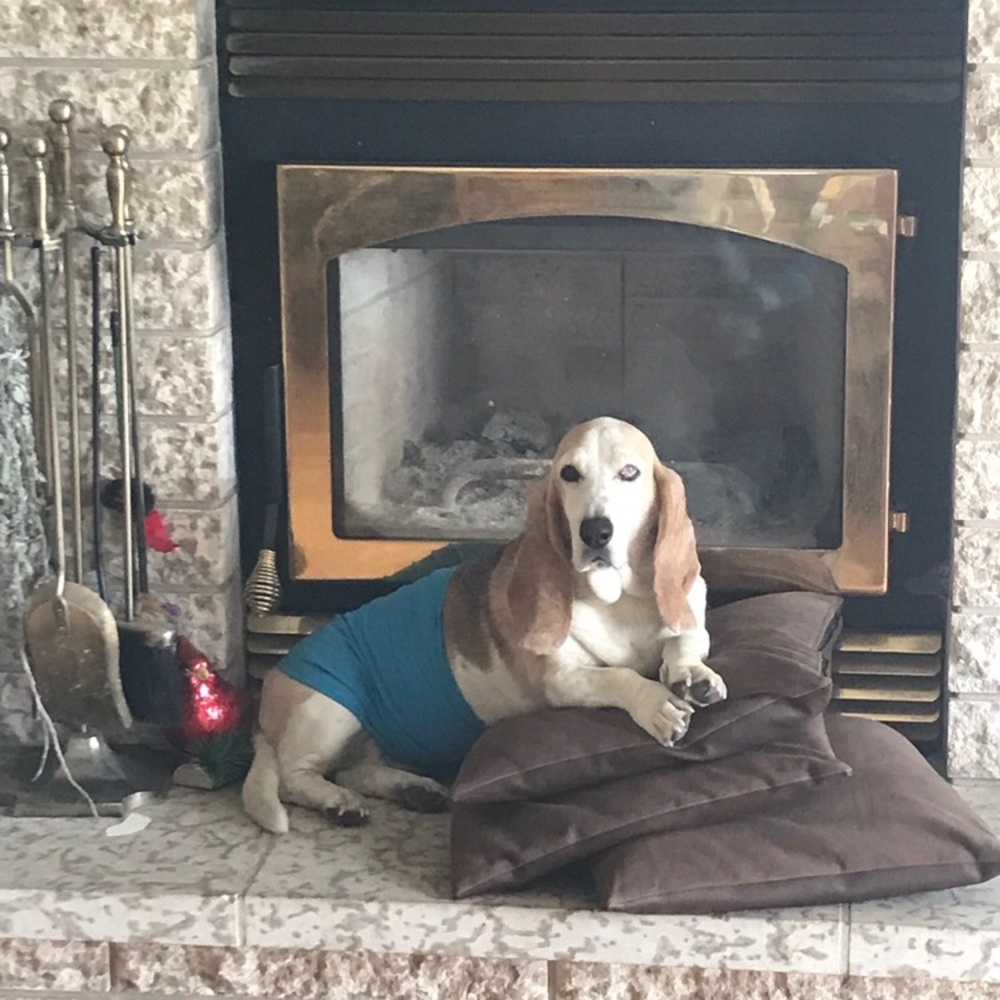 Meet your Posher, Fayette🇨🇦